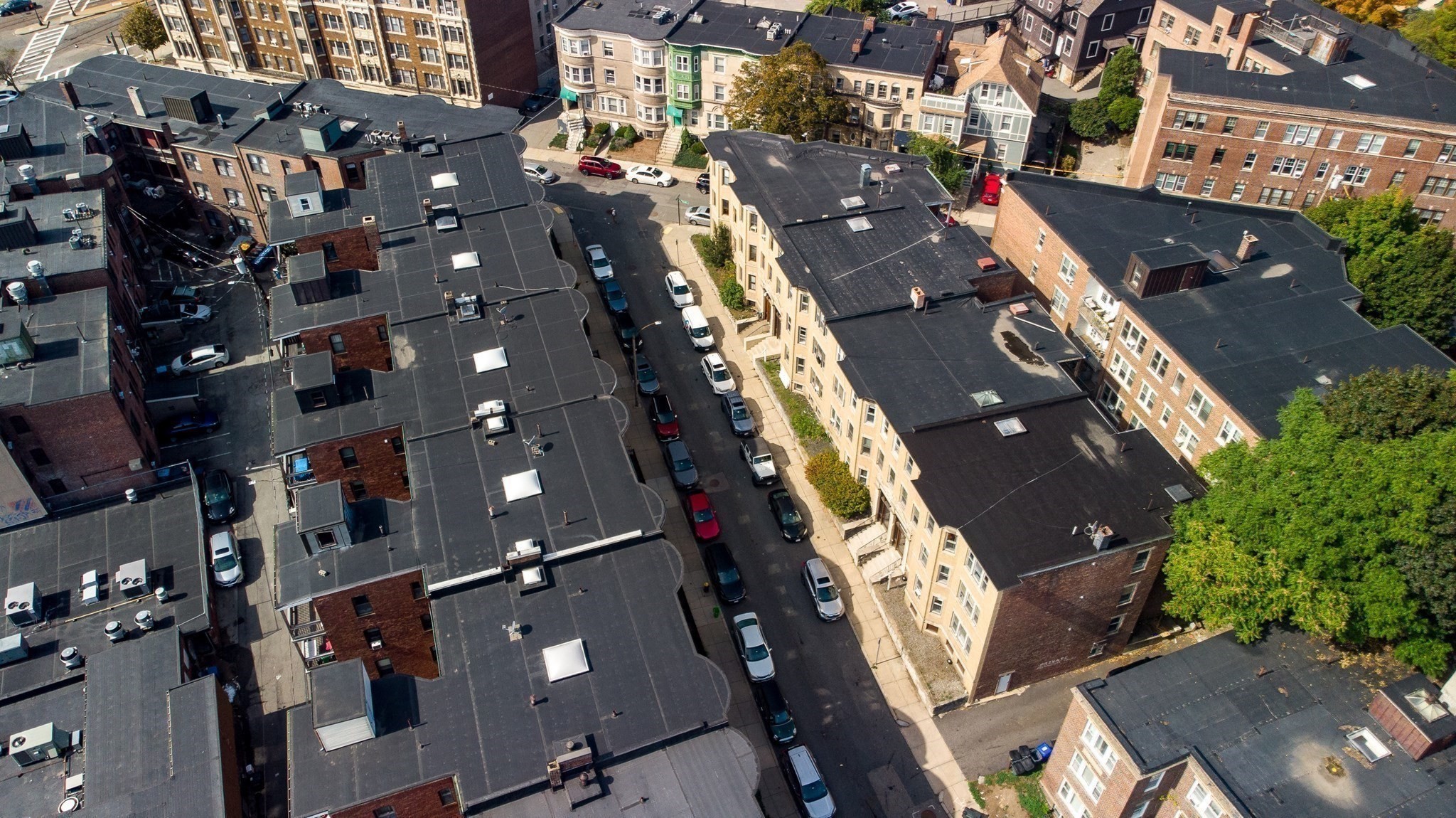 41 Orkney Rd, Boston College, Boston, MA 02135 - Image 19