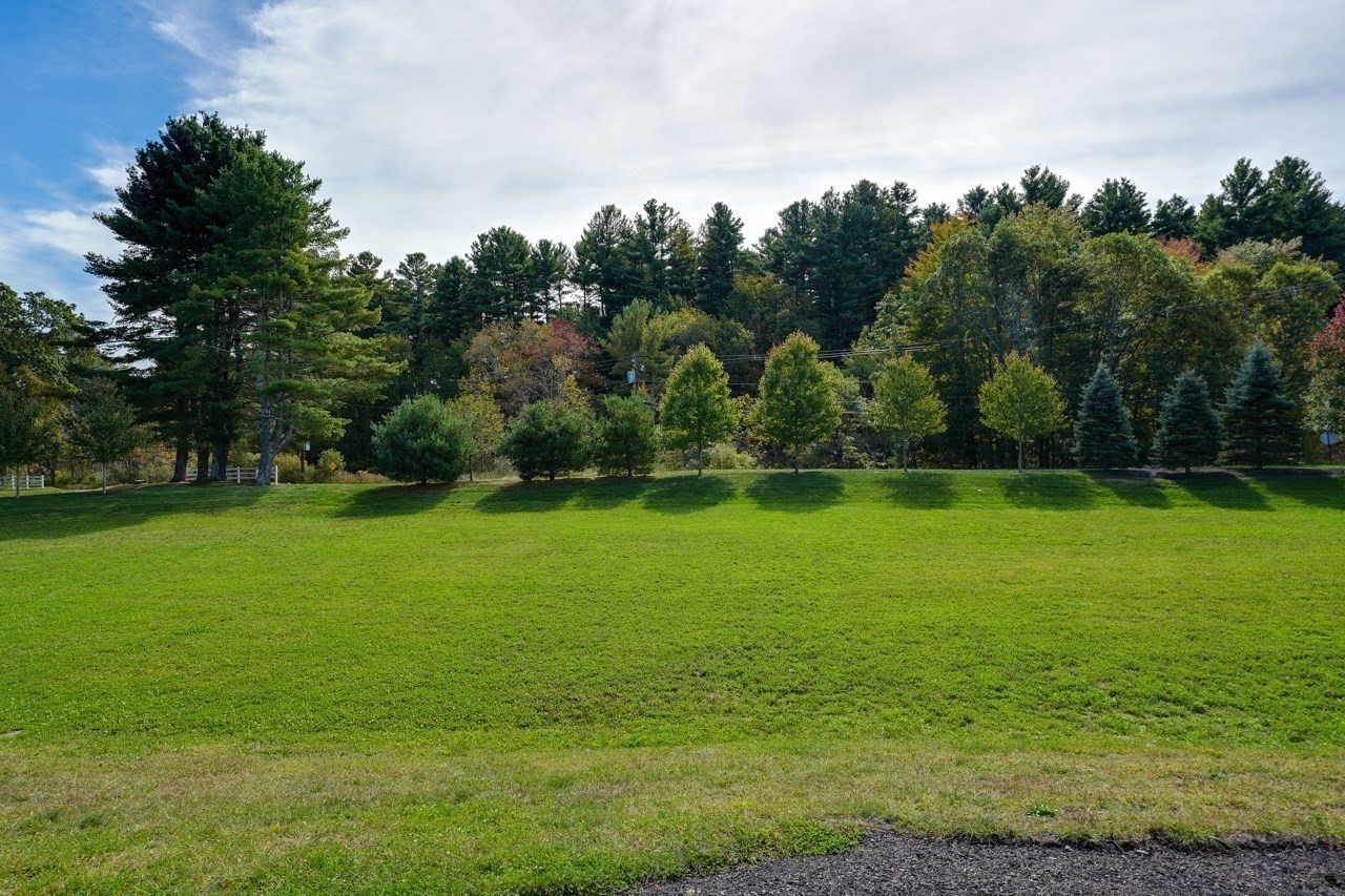 6 Glen Ellen Blvd Unit 6, Millis, MA 02054 - Image 29