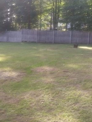 75 Dale Ave, Leominster, MA 01453 - Image 4