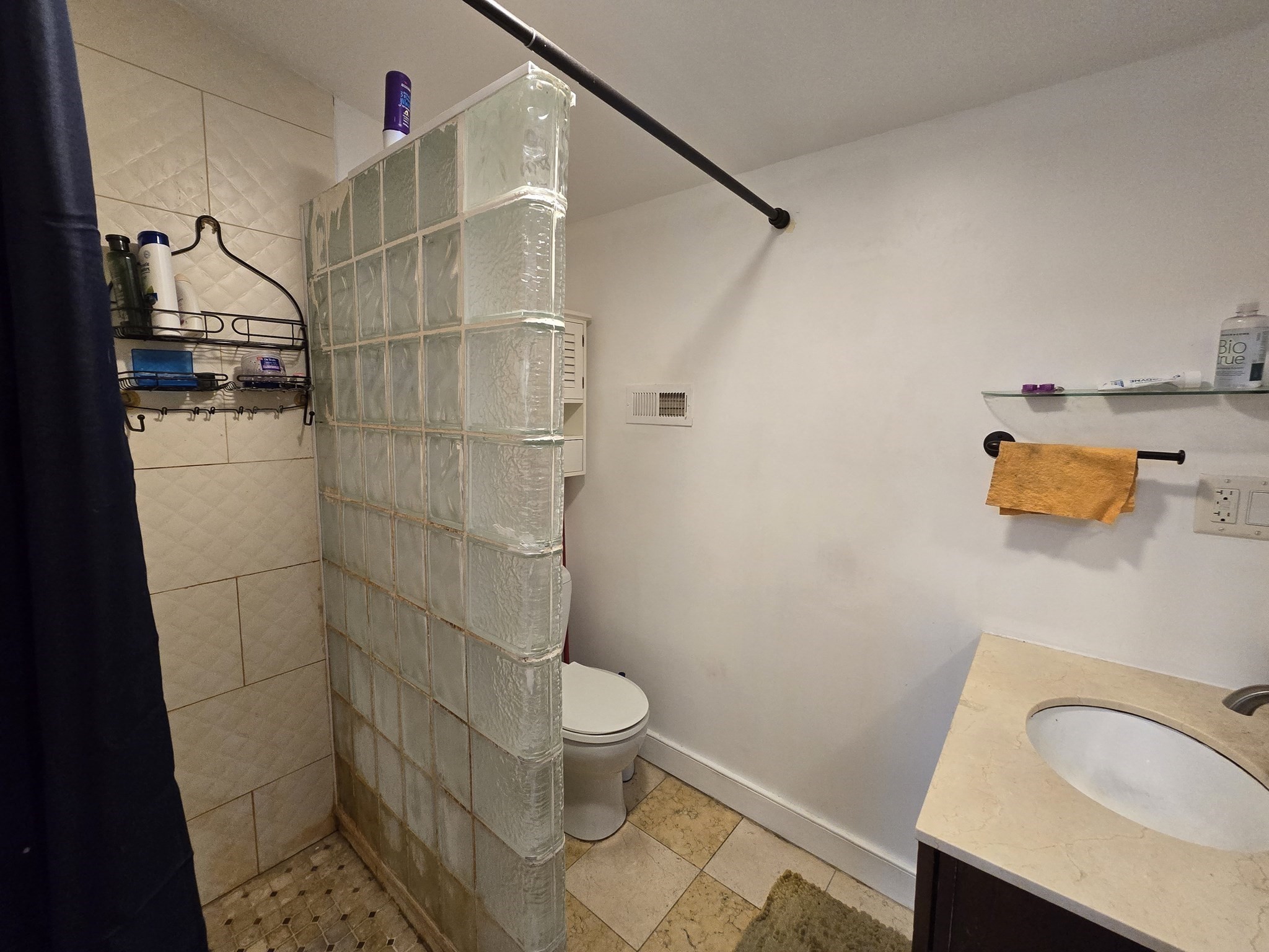 2 Mount Pleasant Pl Unit 2, Roxbury, Boston, MA 02119 - Image 12