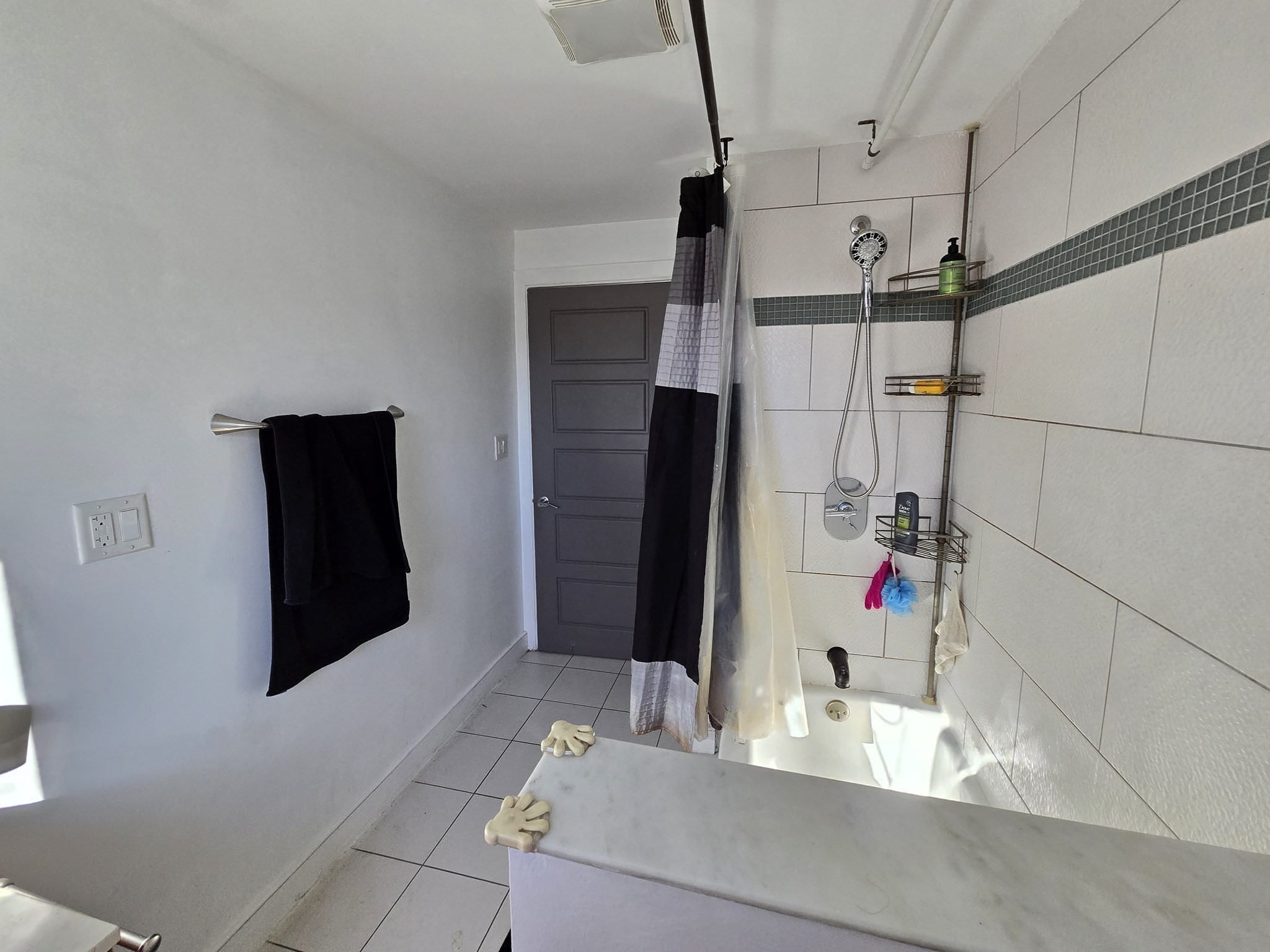 2 Mount Pleasant Pl Unit 2, Roxbury, Boston, MA 02119 - Image 10