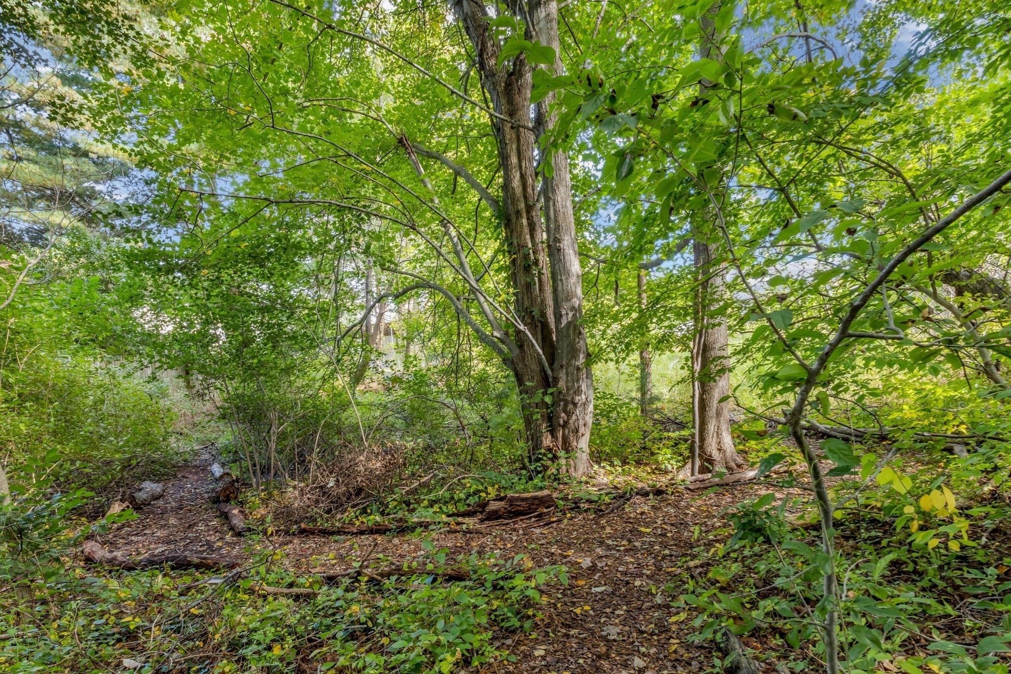 250 Morton St, Stoughton, MA 02072 - Image 11