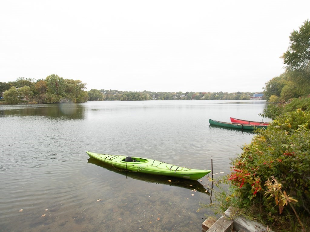 22 Hamilton Rd Unit 206, Arlington, MA 02474 - Image 4