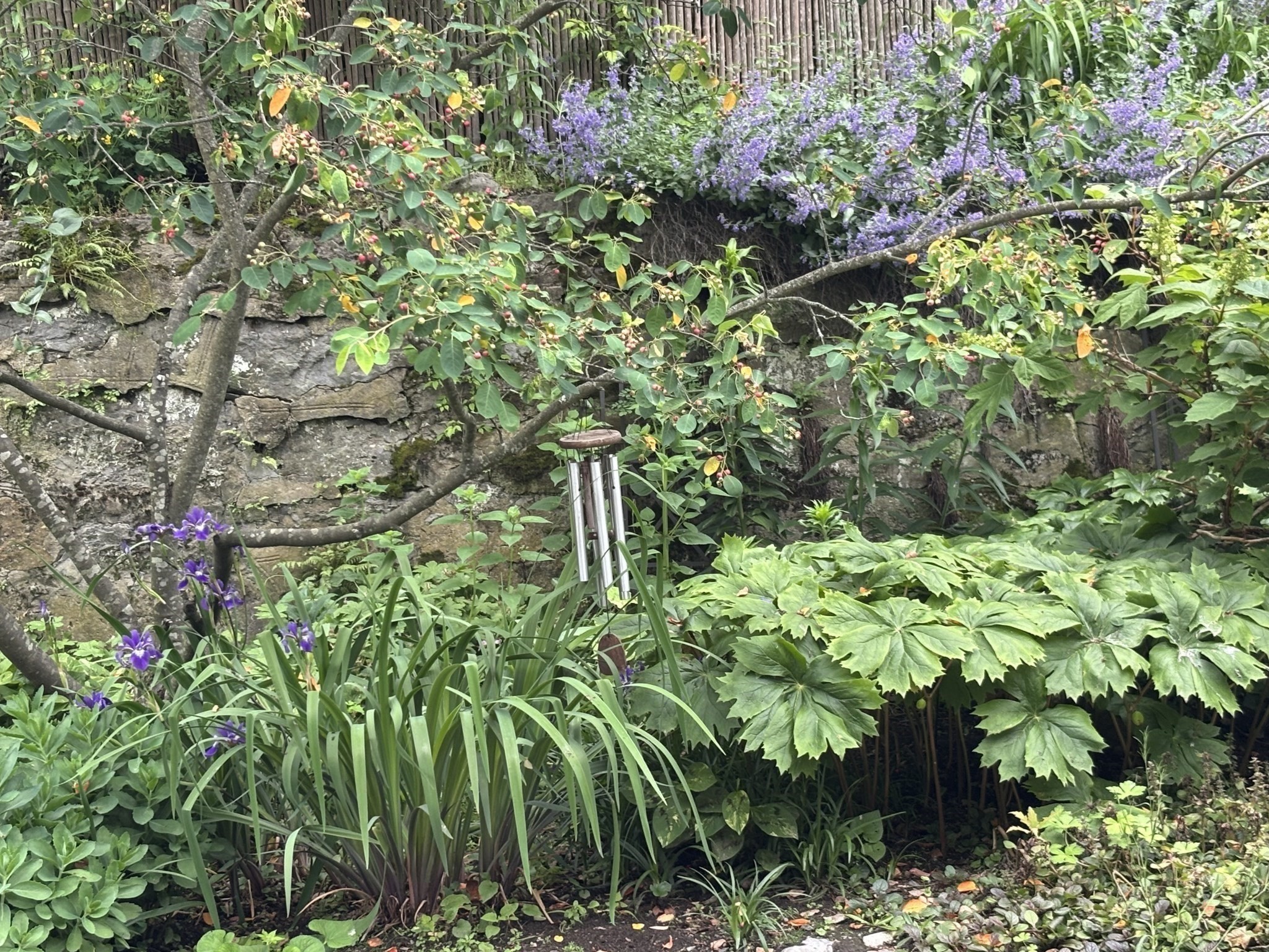 36 Alveston Street, Jamaica Plain, Boston, MA 02130 - Image 15