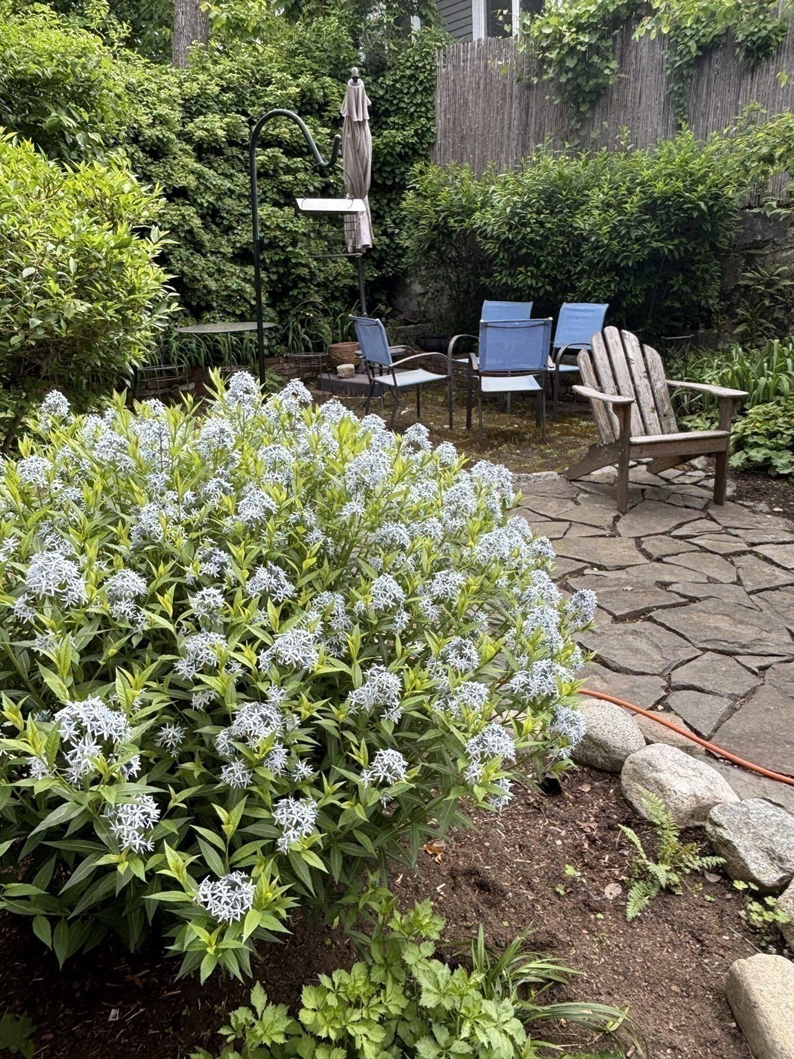 36 Alveston Street, Jamaica Plain, Boston, MA 02130 - Image 33