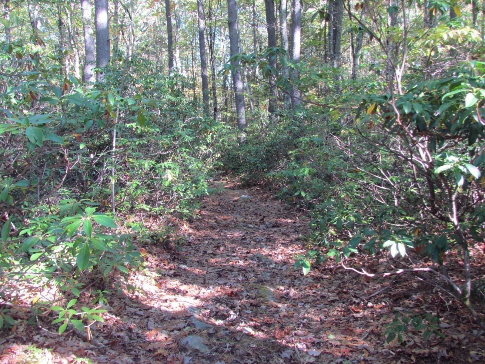 507 West Townsend Road, Lunenburg, MA 01462 - Image 11