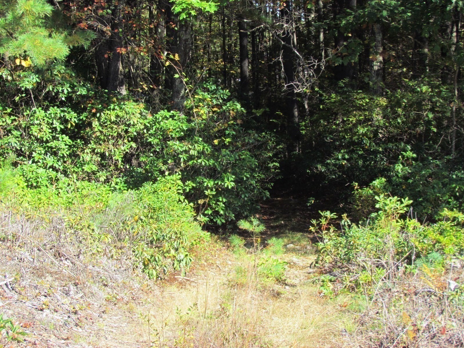 507 West Townsend Road, Lunenburg, MA 01462 - Image 12