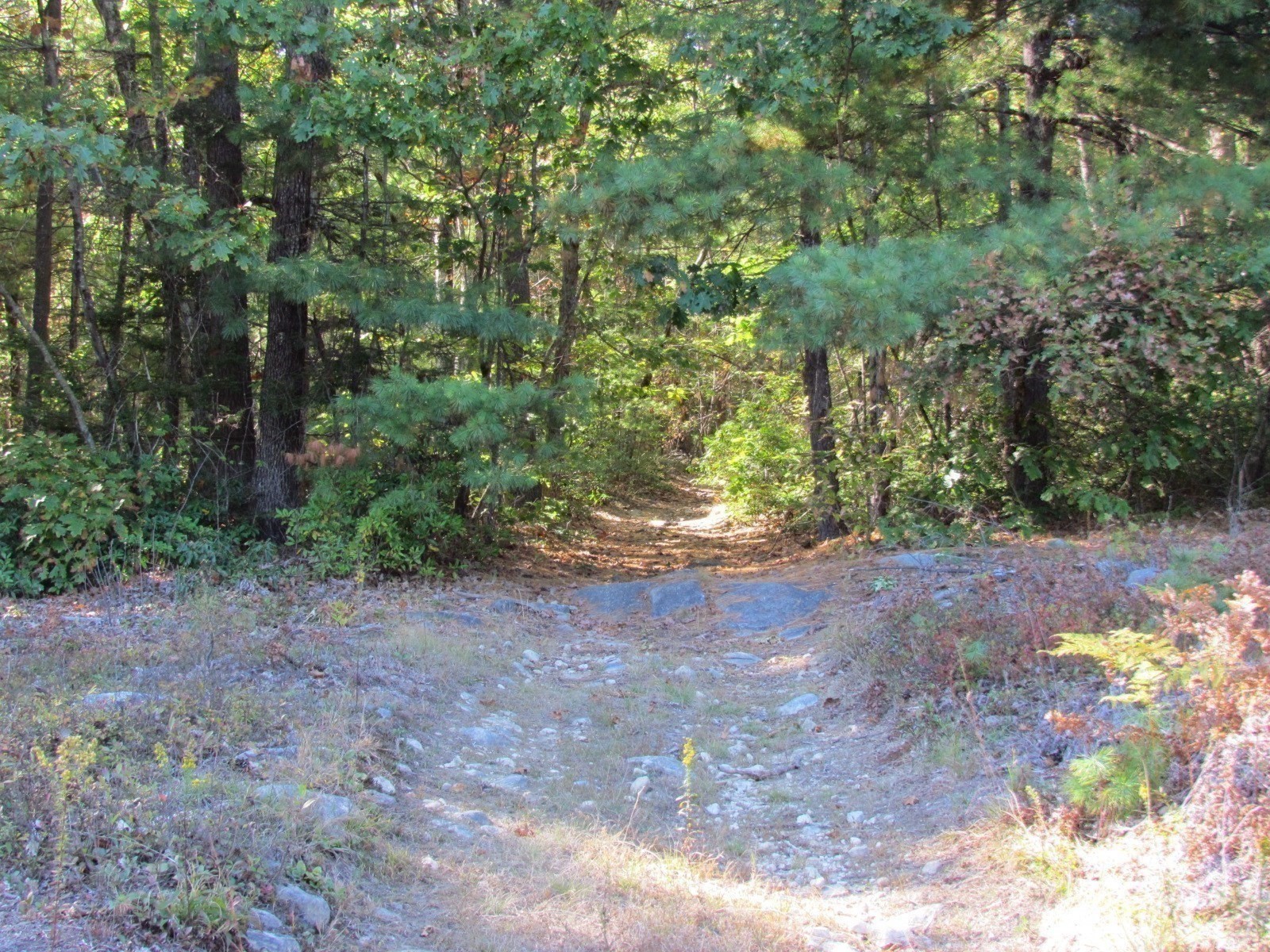 507 West Townsend Road, Lunenburg, MA 01462 - Image 13