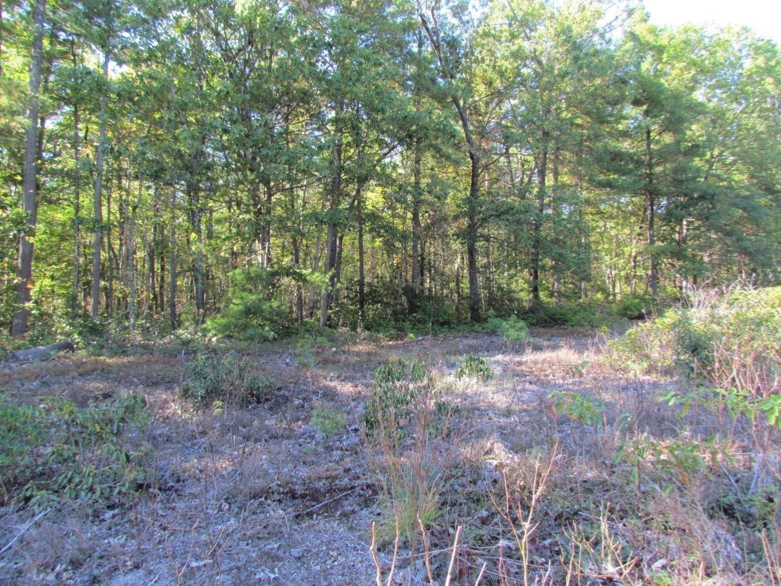 507 West Townsend Road, Lunenburg, MA 01462 - Image 14