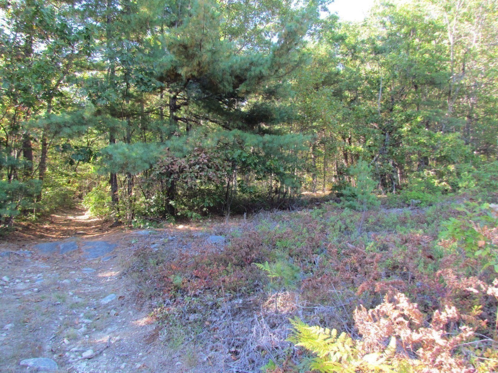 507 West Townsend Road, Lunenburg, MA 01462 - Image 15