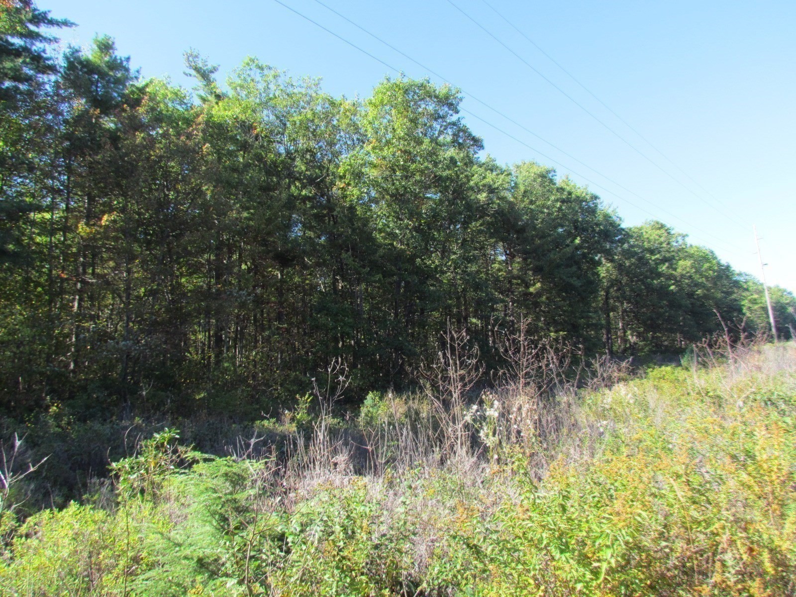 507 West Townsend Road, Lunenburg, MA 01462 - Image 16