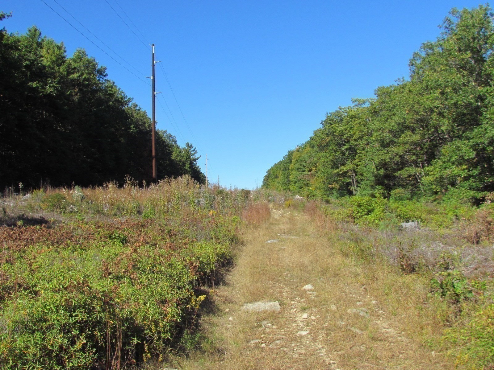 507 West Townsend Road, Lunenburg, MA 01462 - Image 18