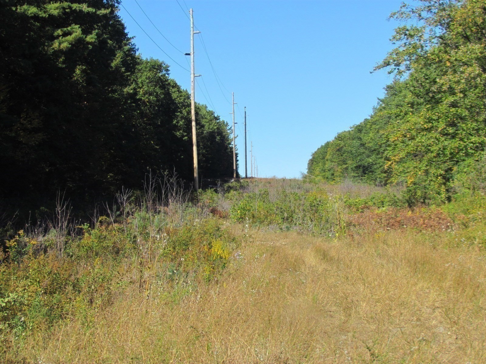 507 West Townsend Road, Lunenburg, MA 01462 - Image 20