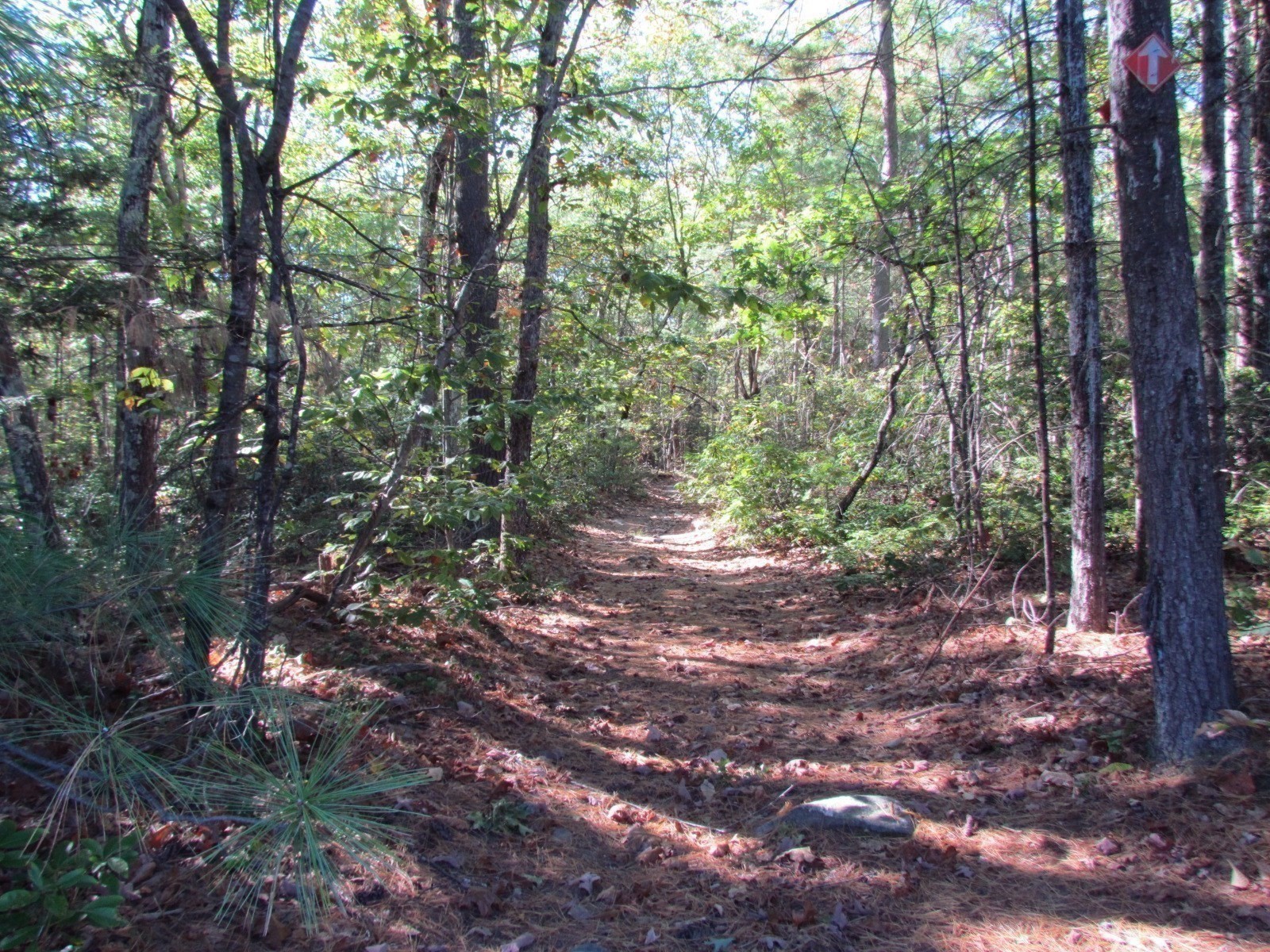 507 West Townsend Road, Lunenburg, MA 01462 - Image 10