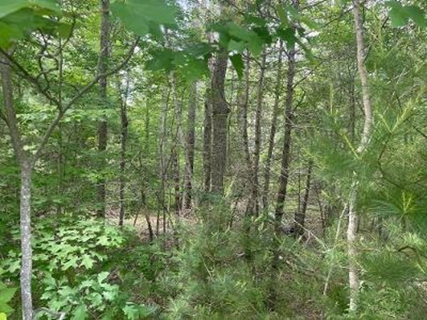 170 Elm Street, Hanson, MA 02341 - Image 1