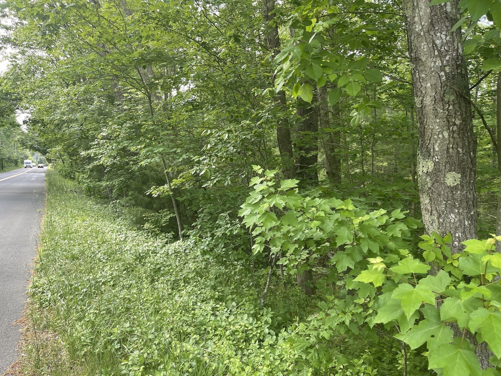 170 Elm Street, Hanson, MA 02341 - Image 2