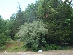 170 Elm Street, Hanson, MA 02341 - Image 5