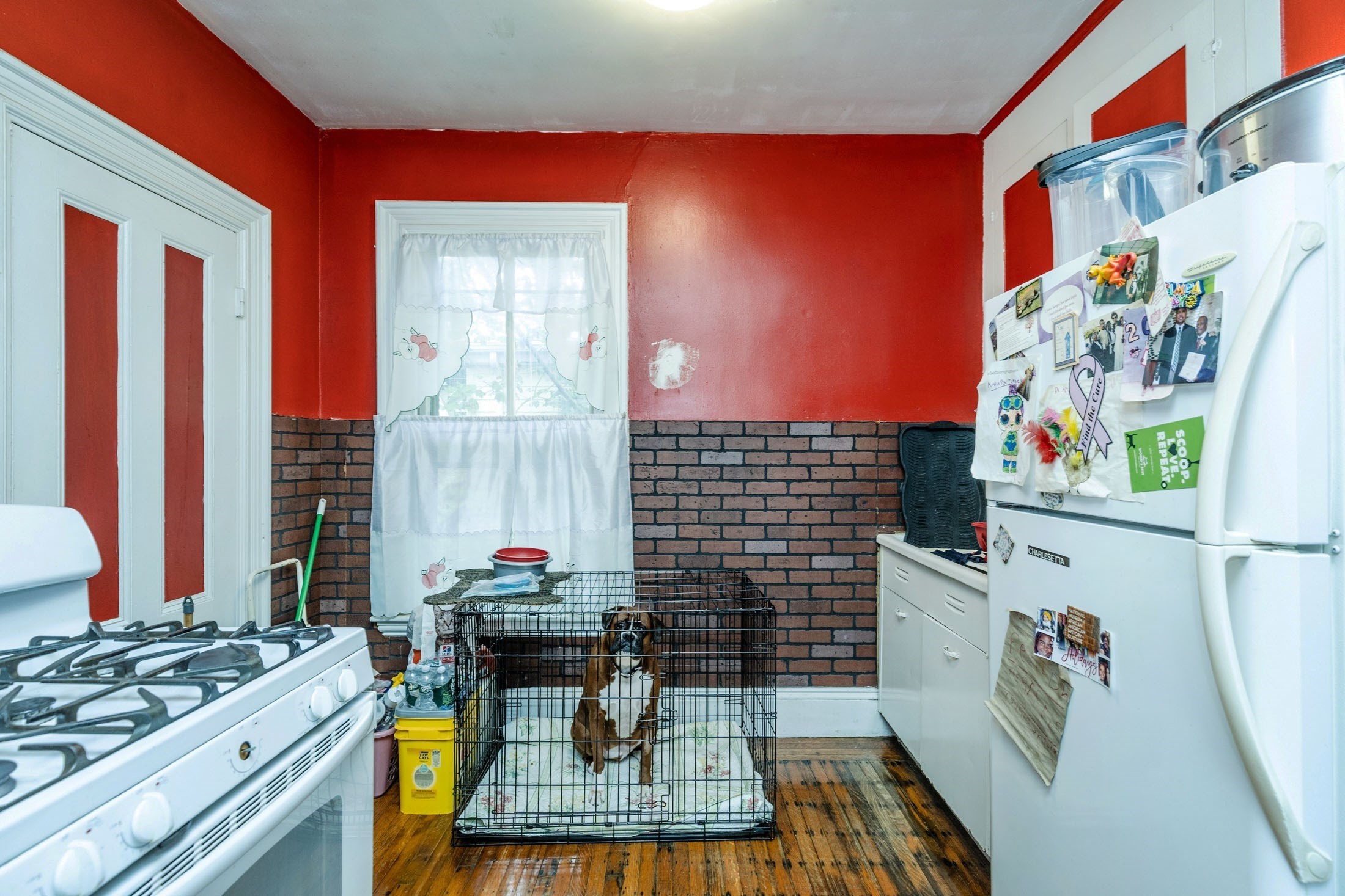 495 Warren St, Roxbury, Boston, MA 02121 - Image 14