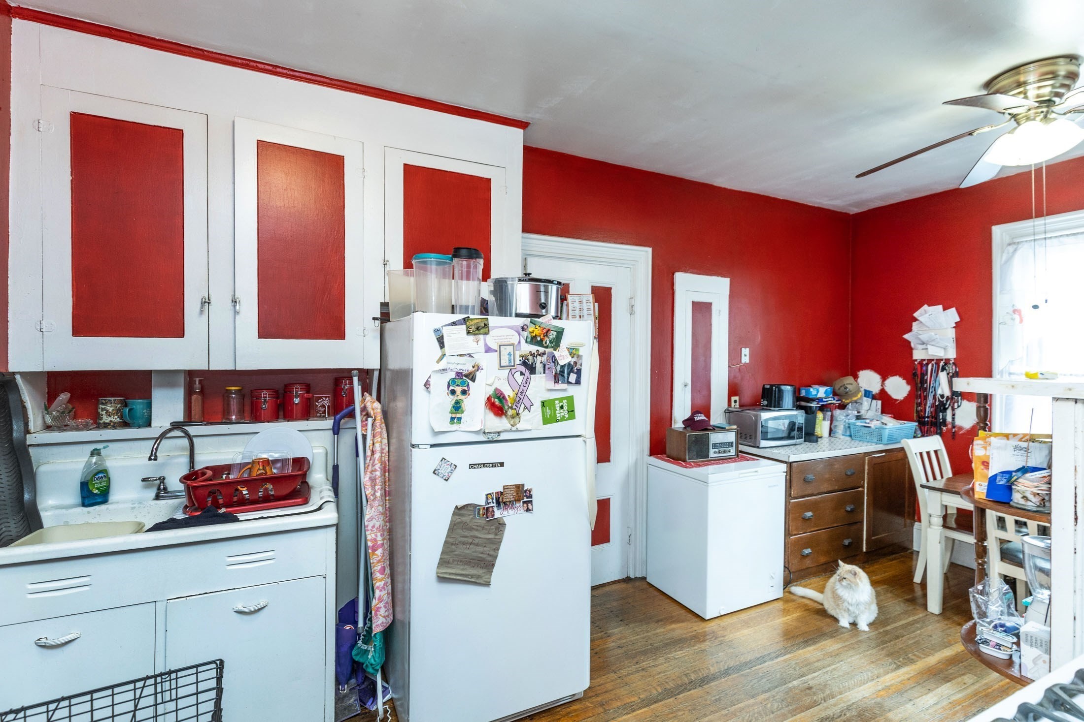 495 Warren St, Roxbury, Boston, MA 02121 - Image 15