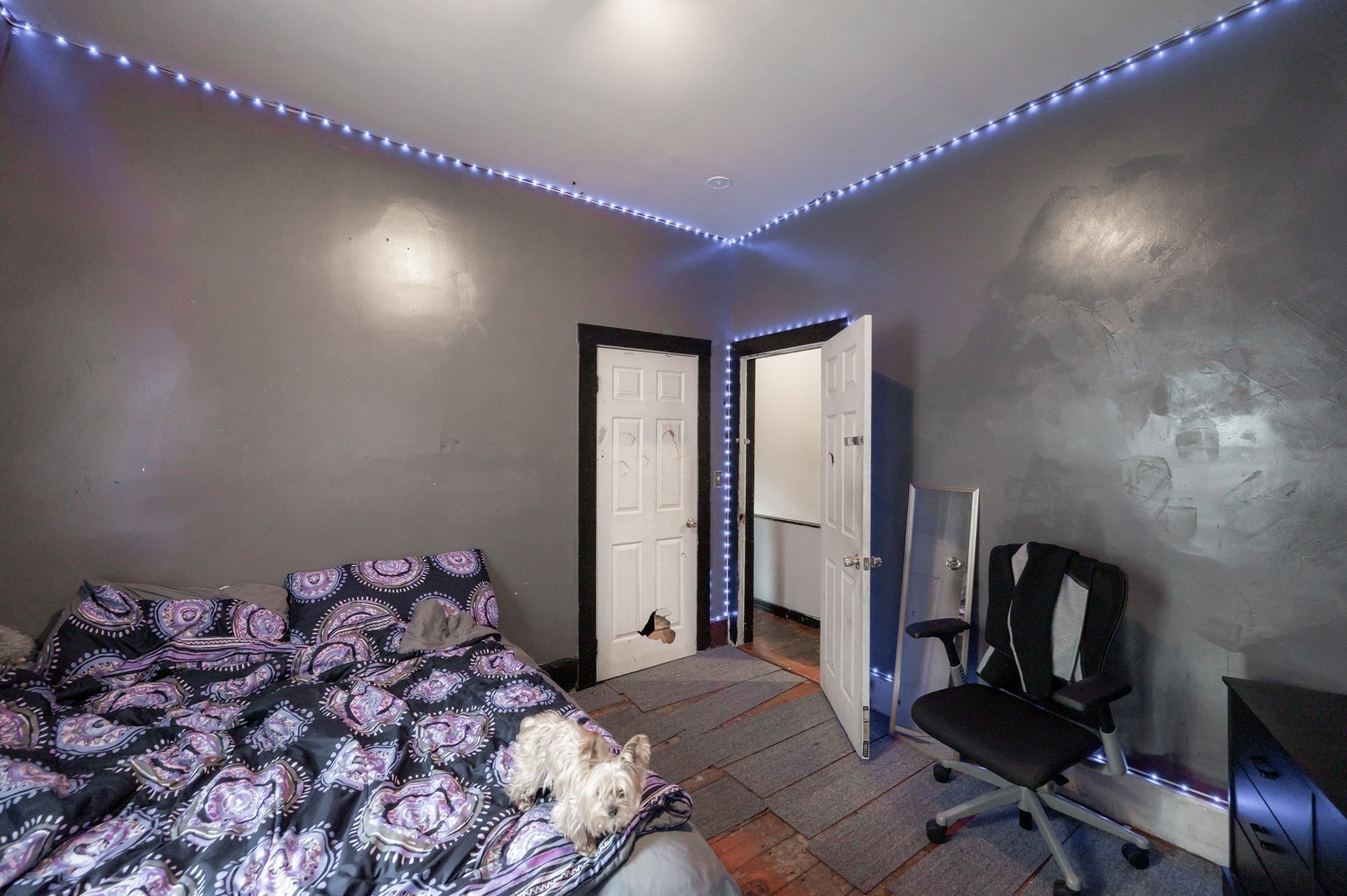 206 Willow St, Lawrence, MA 01841 - Image 34