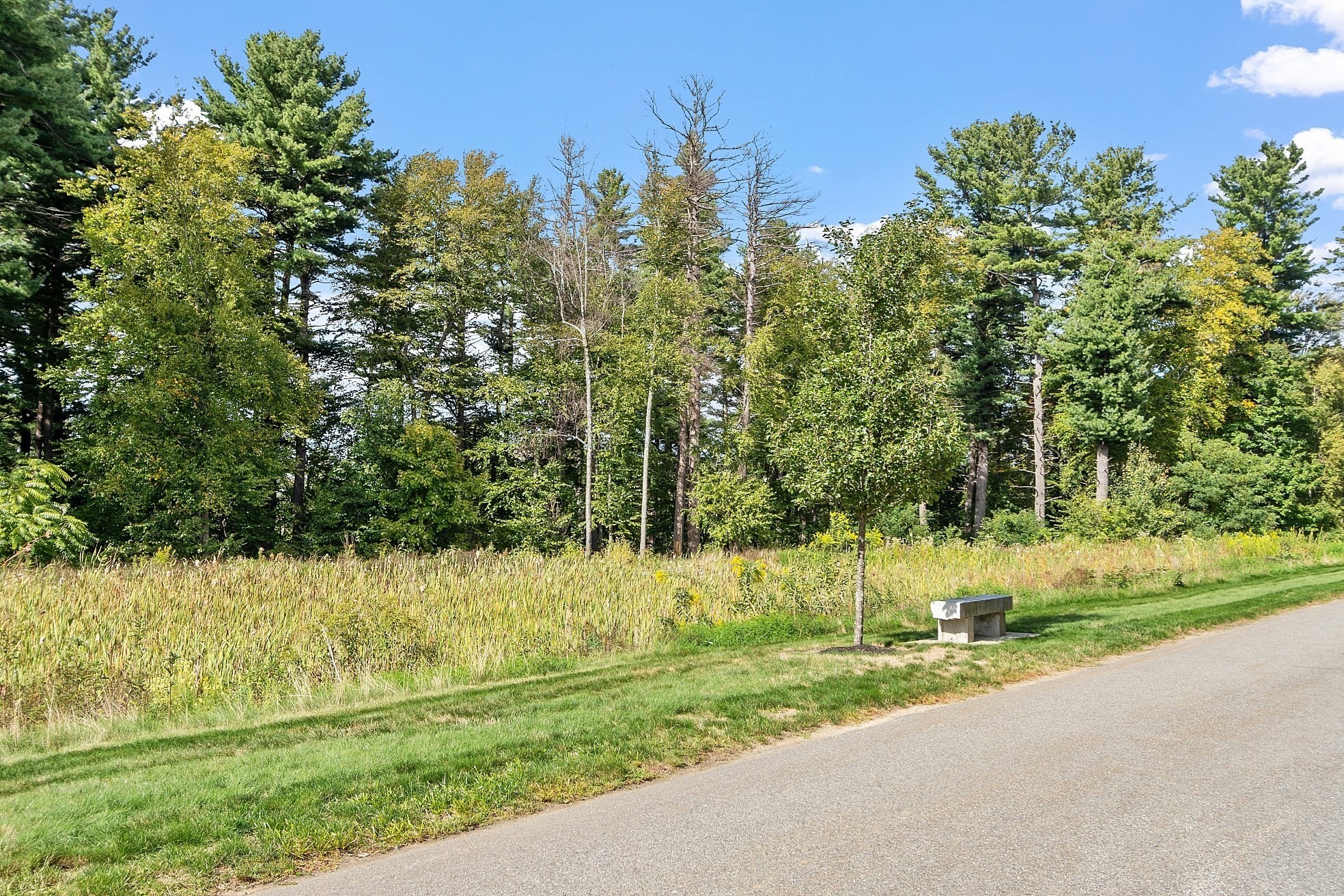 4 Francis Dr Unit 105, Andover, MA 01810 - Image 27