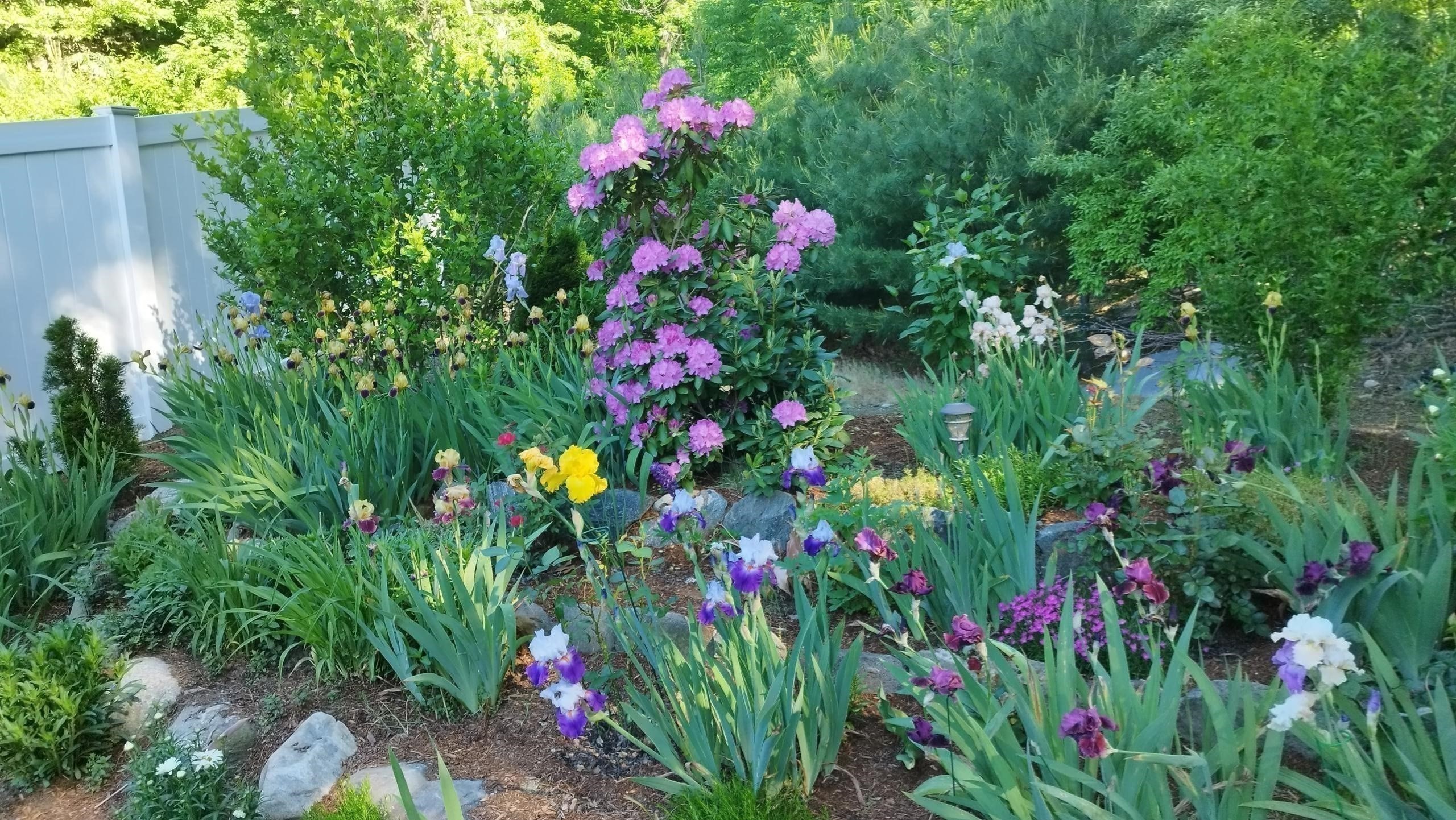 6 Silas Dr, Northborough, MA 01532 - Image 38