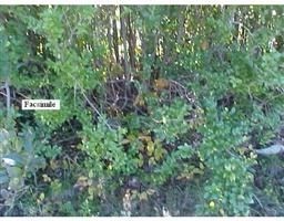 6 Tremont, Taunton, MA 02780 - Image 2