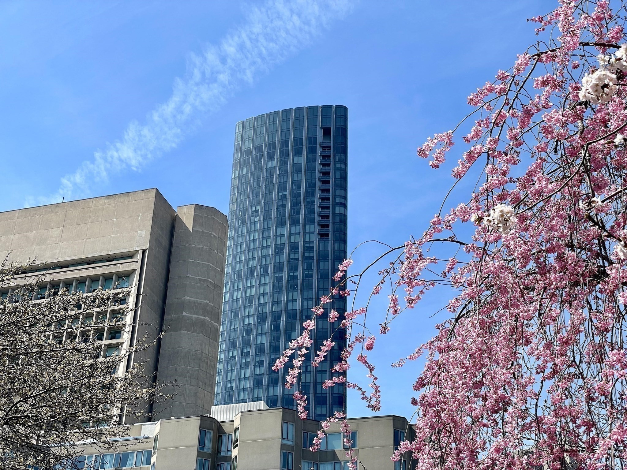 1 Dalton St Unit 3108, Back Bay, Boston, MA 02115 - Image 2