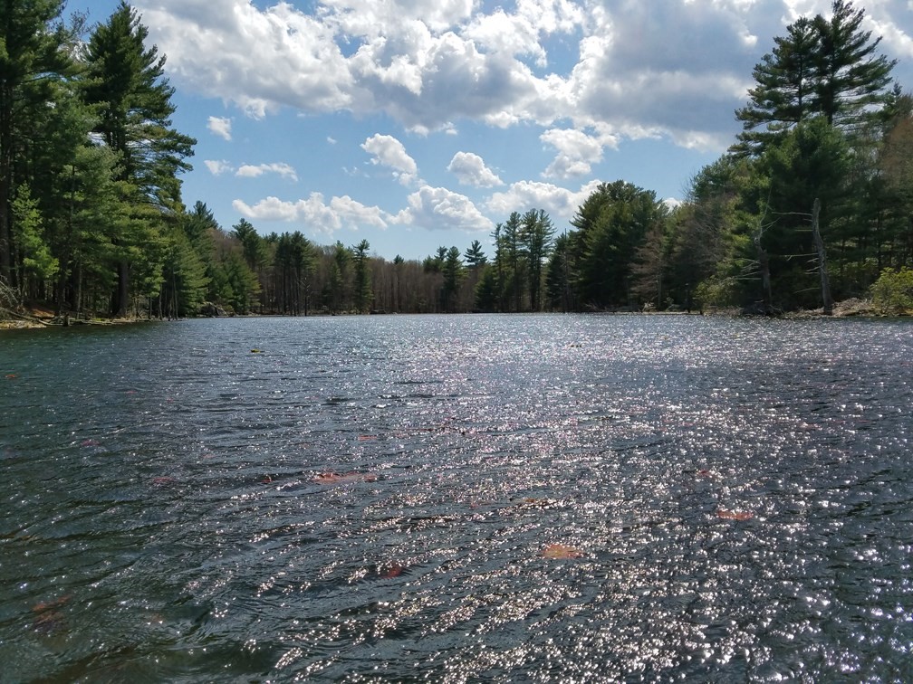 266 Holland Rd, Sturbridge, MA 01518 - Image 2