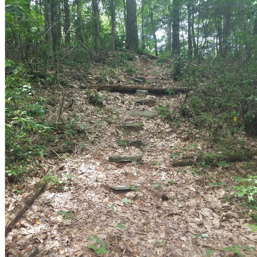 266 Holland Rd, Sturbridge, MA 01518 - Image 11