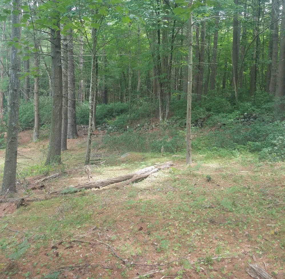 266 Holland Rd, Sturbridge, MA 01518 - Image 12