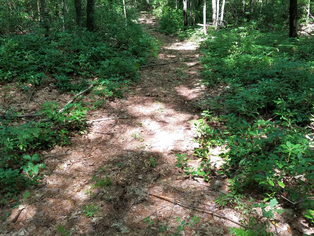 266 Holland Rd, Sturbridge, MA 01518 - Image 16