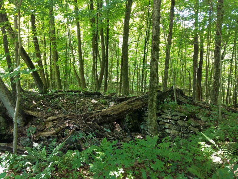 266 Holland Rd, Sturbridge, MA 01518 - Image 17