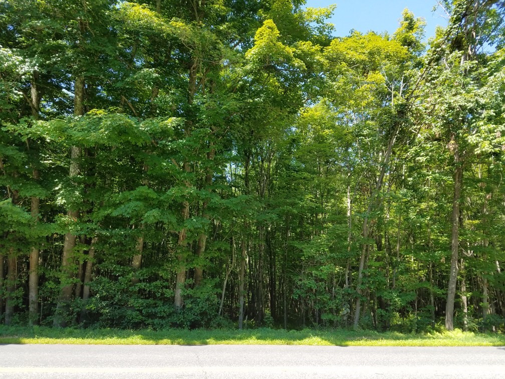 266 Holland Rd, Sturbridge, MA 01518 - Image 3