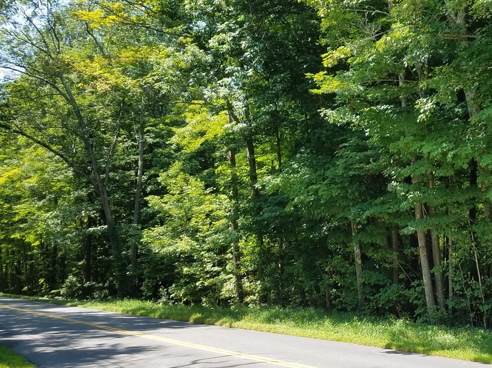 266 Holland Rd, Sturbridge, MA 01518 - Image 4