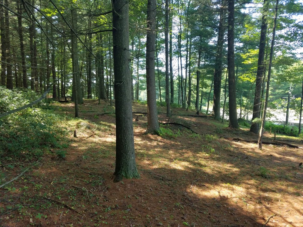 266 Holland Rd, Sturbridge, MA 01518 - Image 5