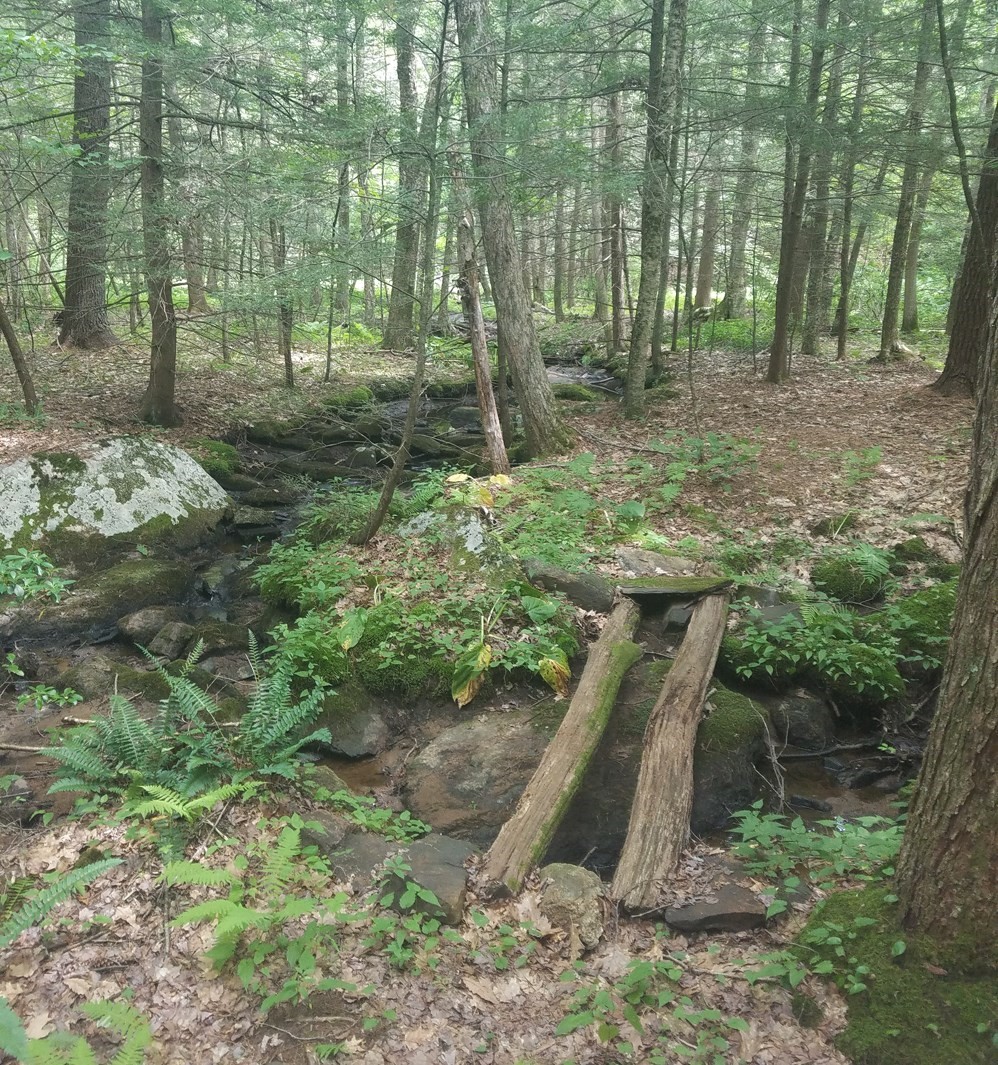 266 Holland Rd, Sturbridge, MA 01518 - Image 6