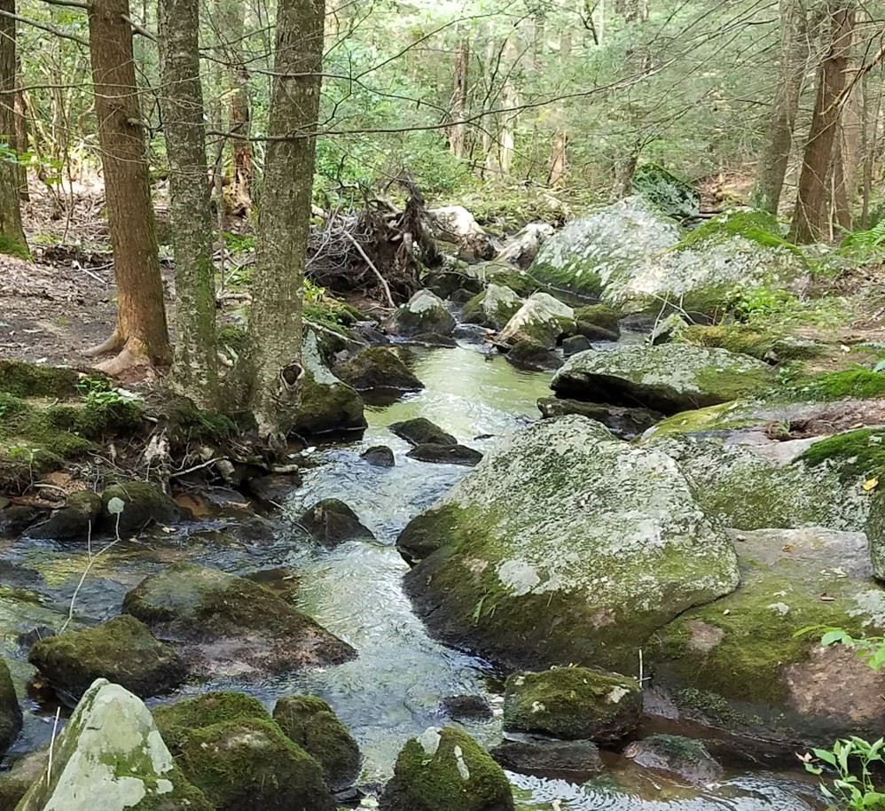 266 Holland Rd, Sturbridge, MA 01518 - Image 7