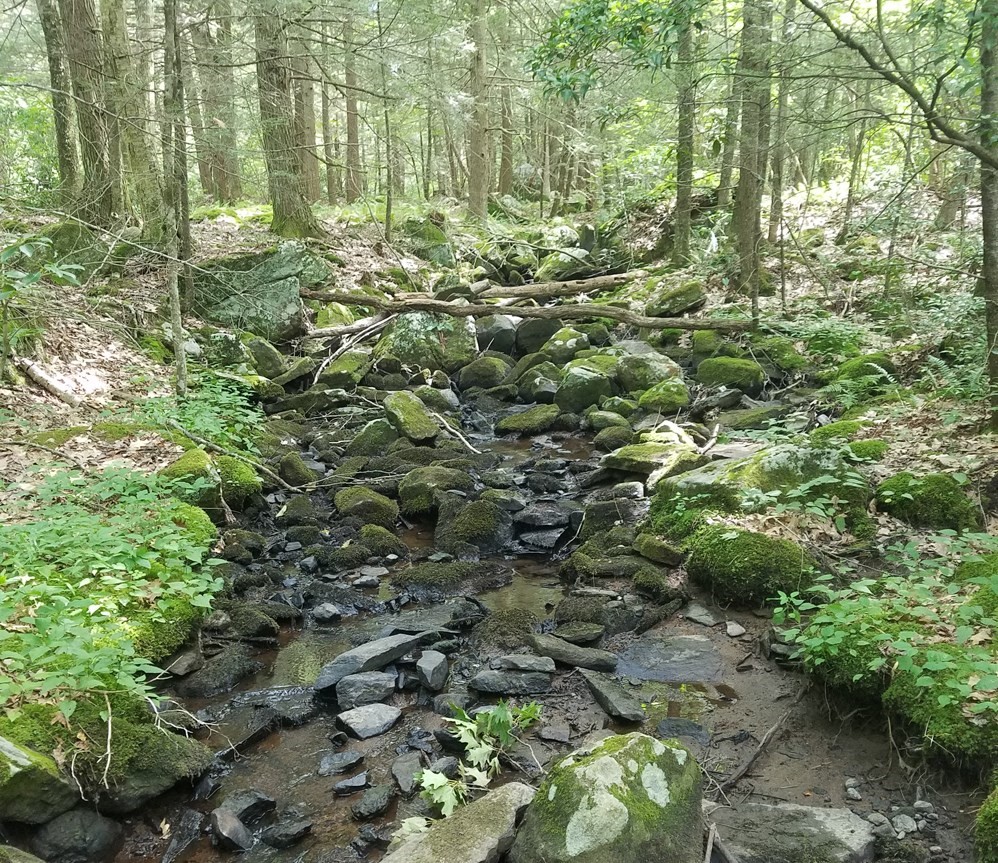 266 Holland Rd, Sturbridge, MA 01518 - Image 8