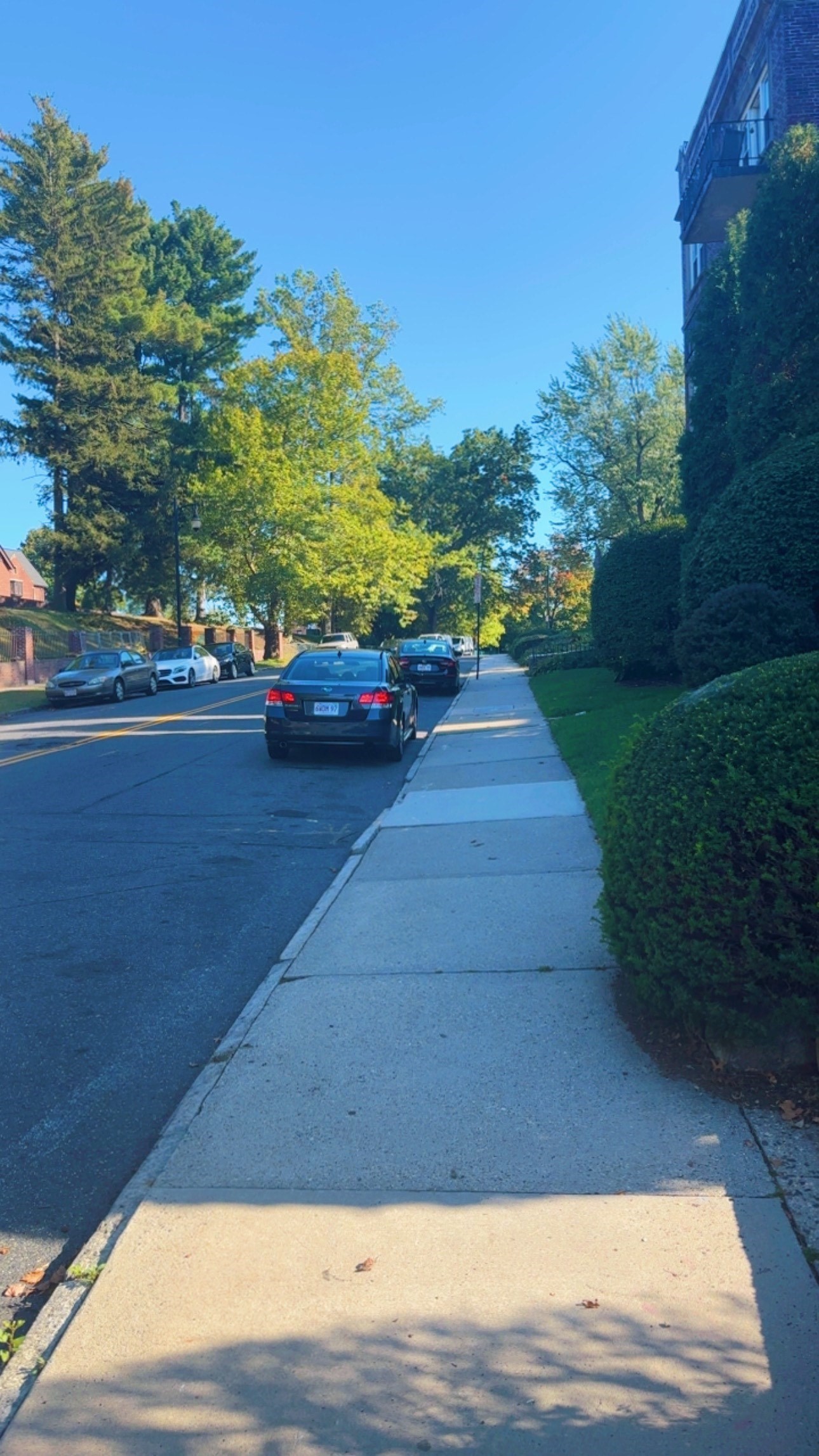 118 Longhill St Unit 3, Springfield, MA 01108 - Image 8