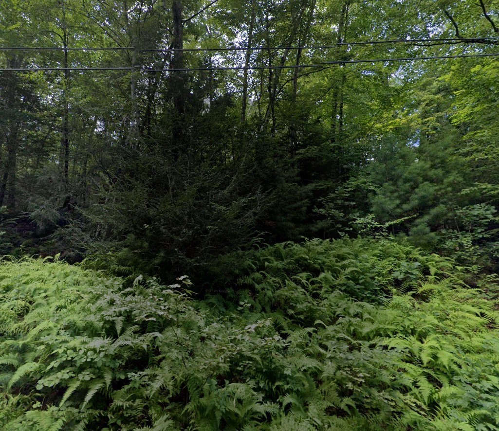 60 Lakeshore Dr, Monson, MA 01057 - Image 1