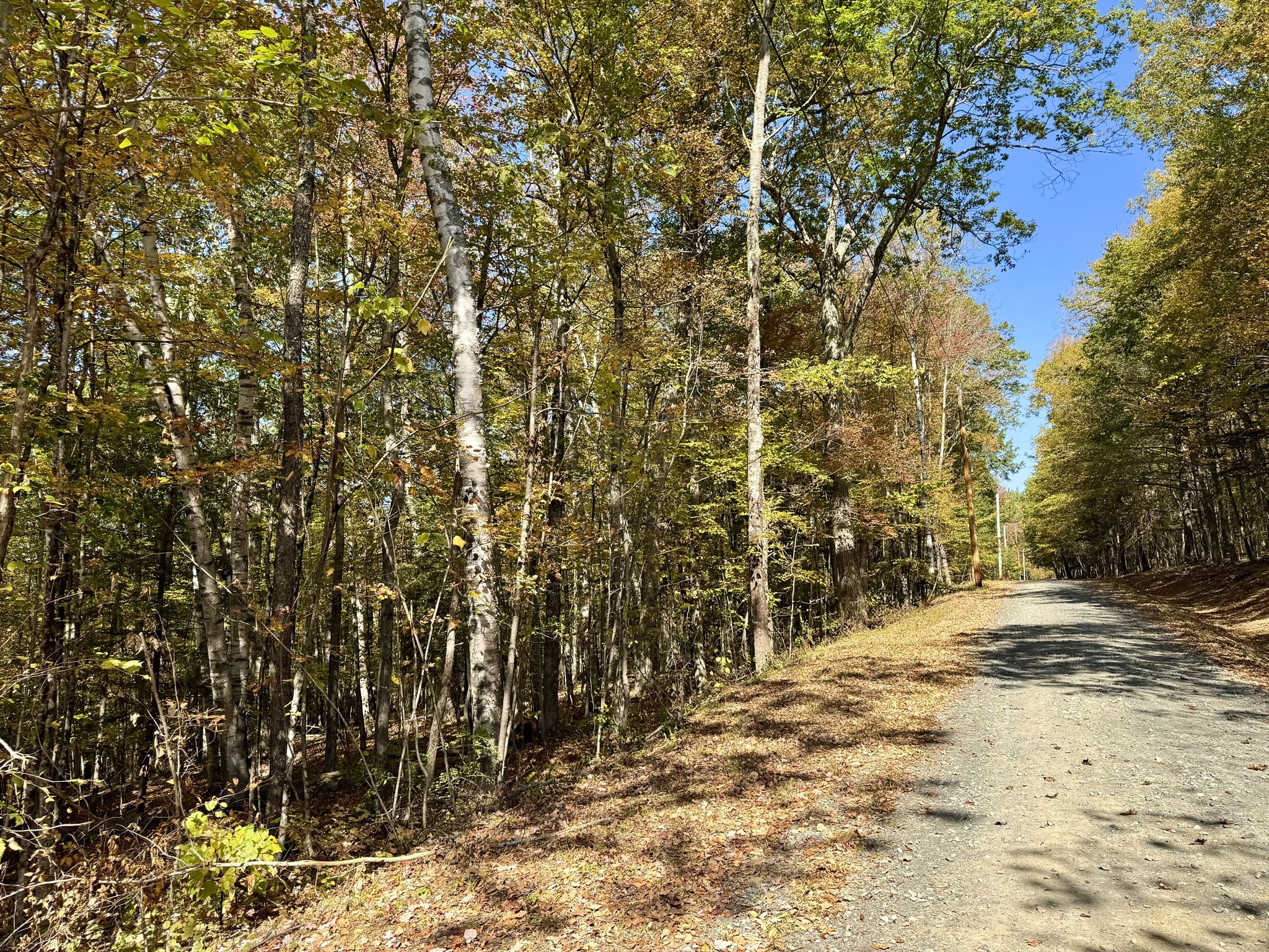 0 Potters Road Extension, Charlemont, MA 01339 - Image 1