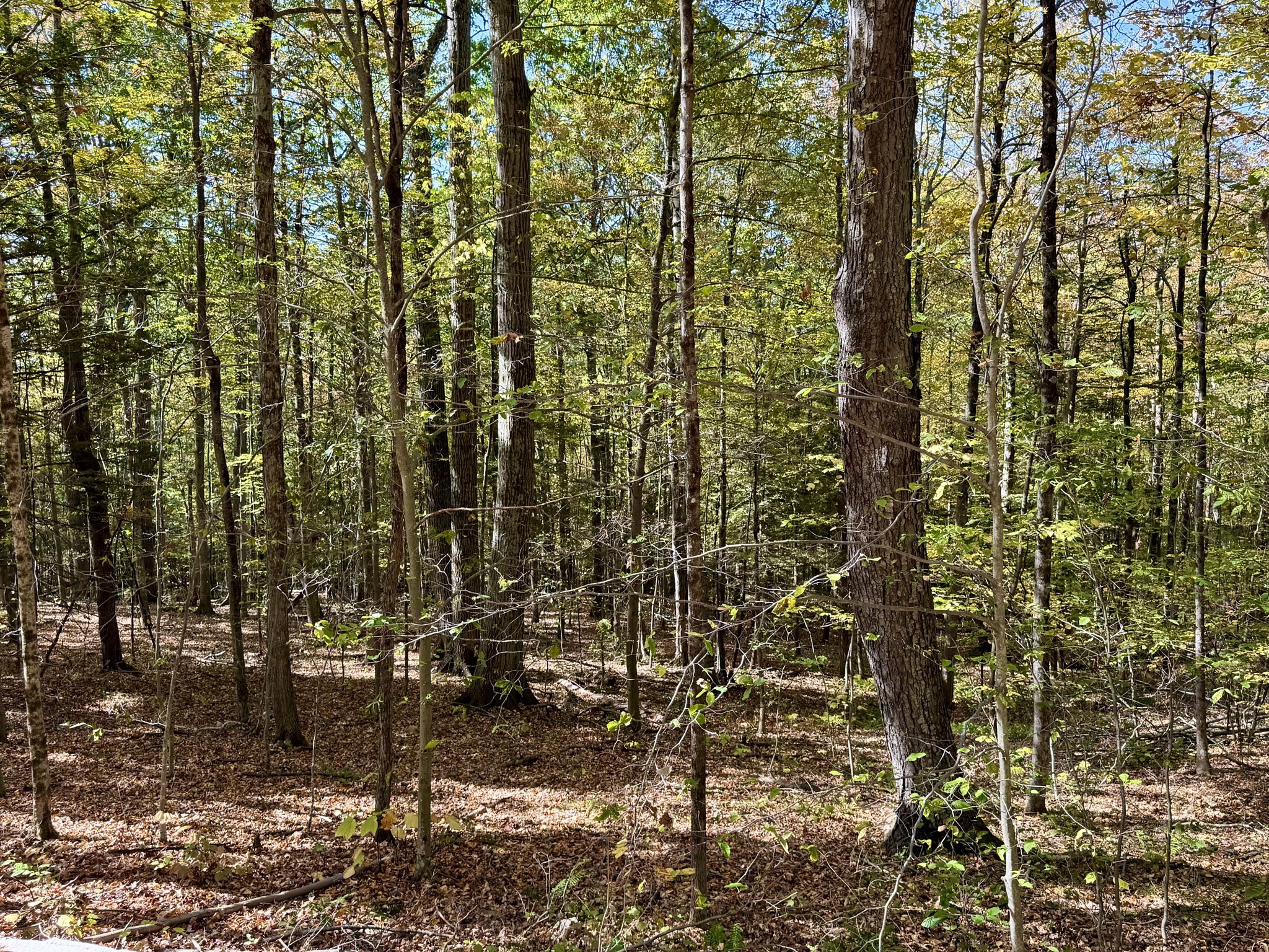 0 Potters Road Extension, Charlemont, MA 01339 - Image 2