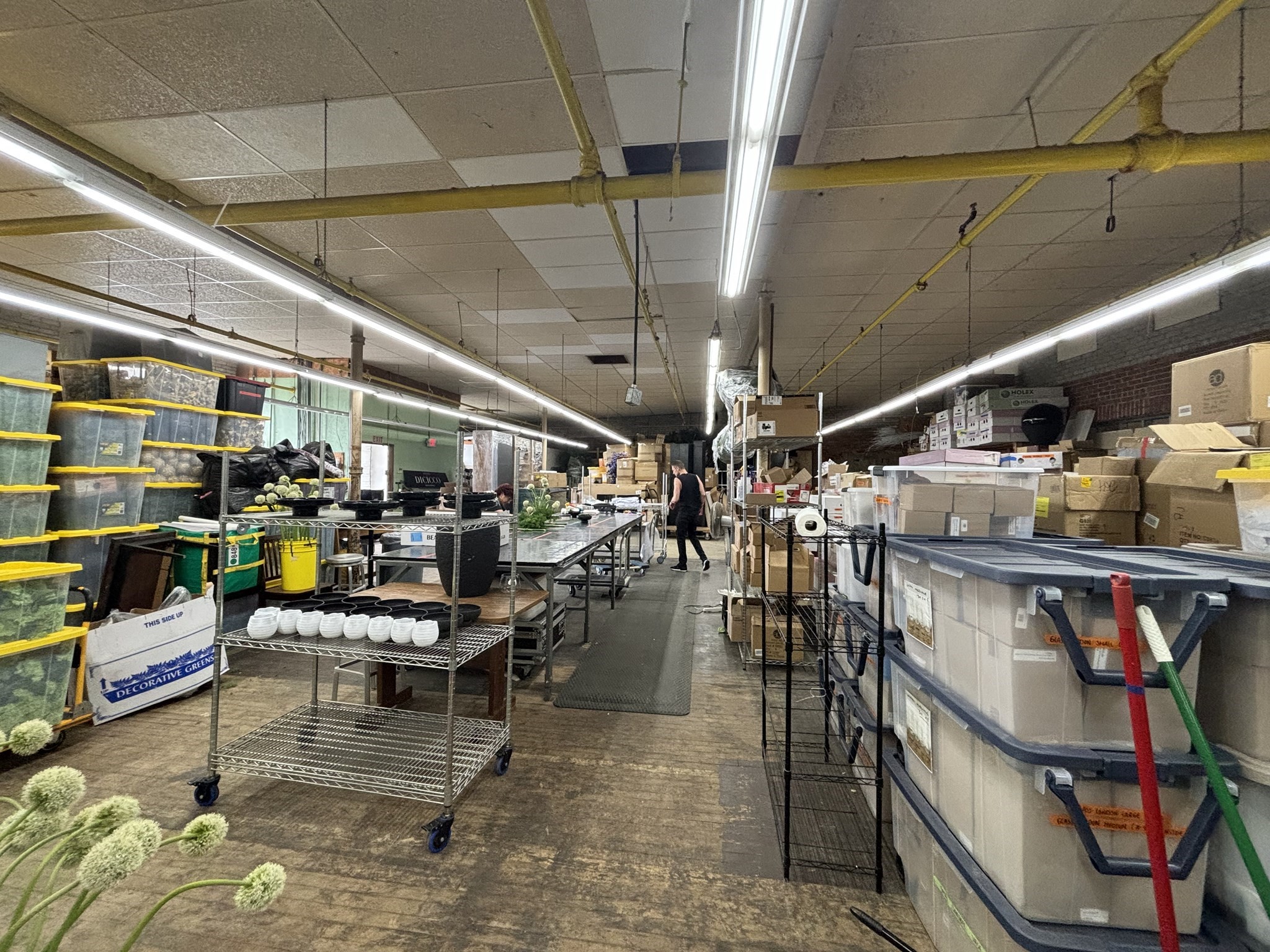 167 Bow Street Unit 206, Everett, MA 02149 - Image 4