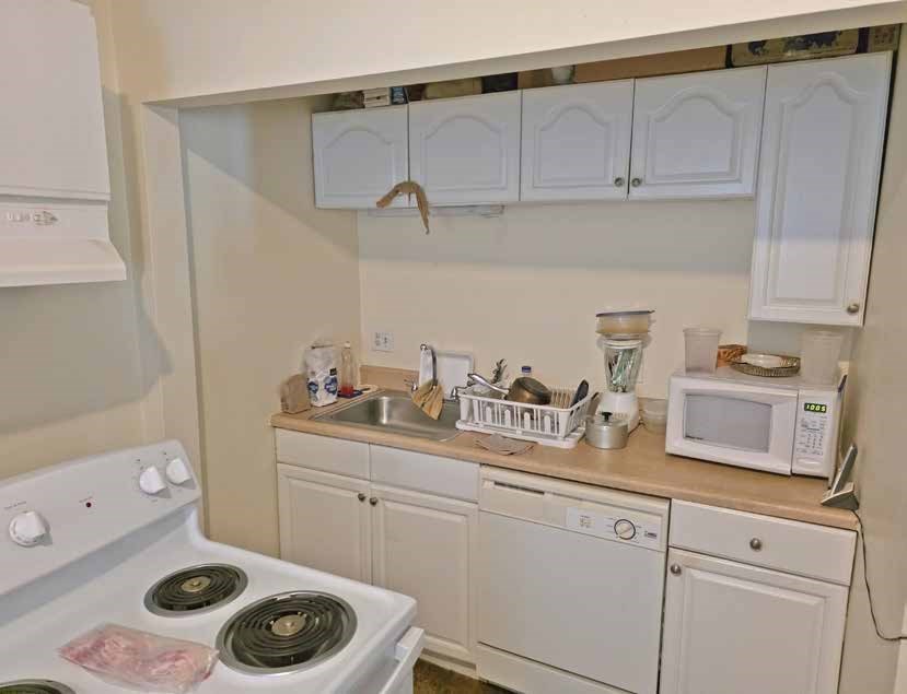 49 Fottler Rd, Mattapan, Boston, MA 02126 - Image 8