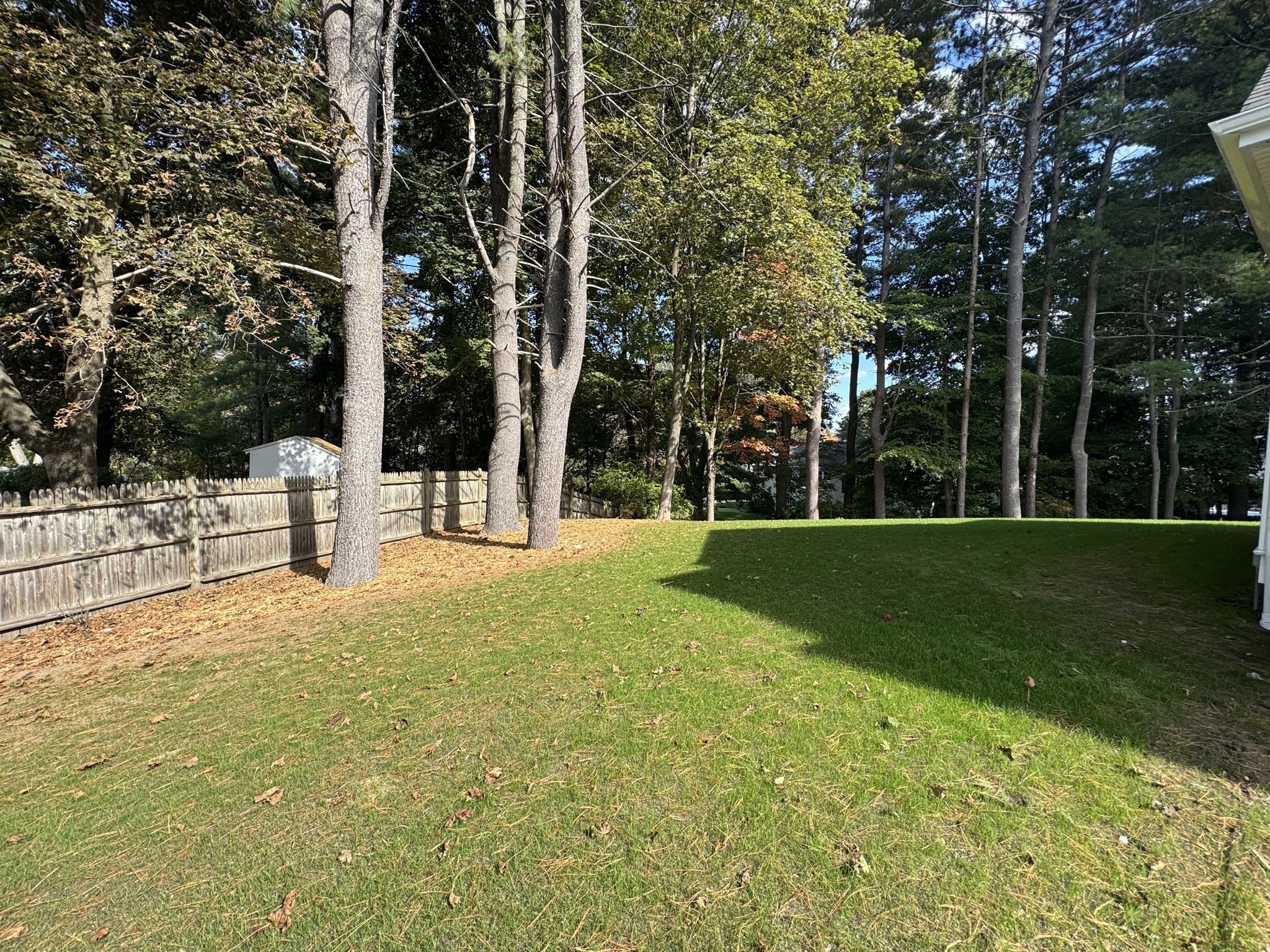 25 Irving Road, Natick, MA 01760 - Image 31