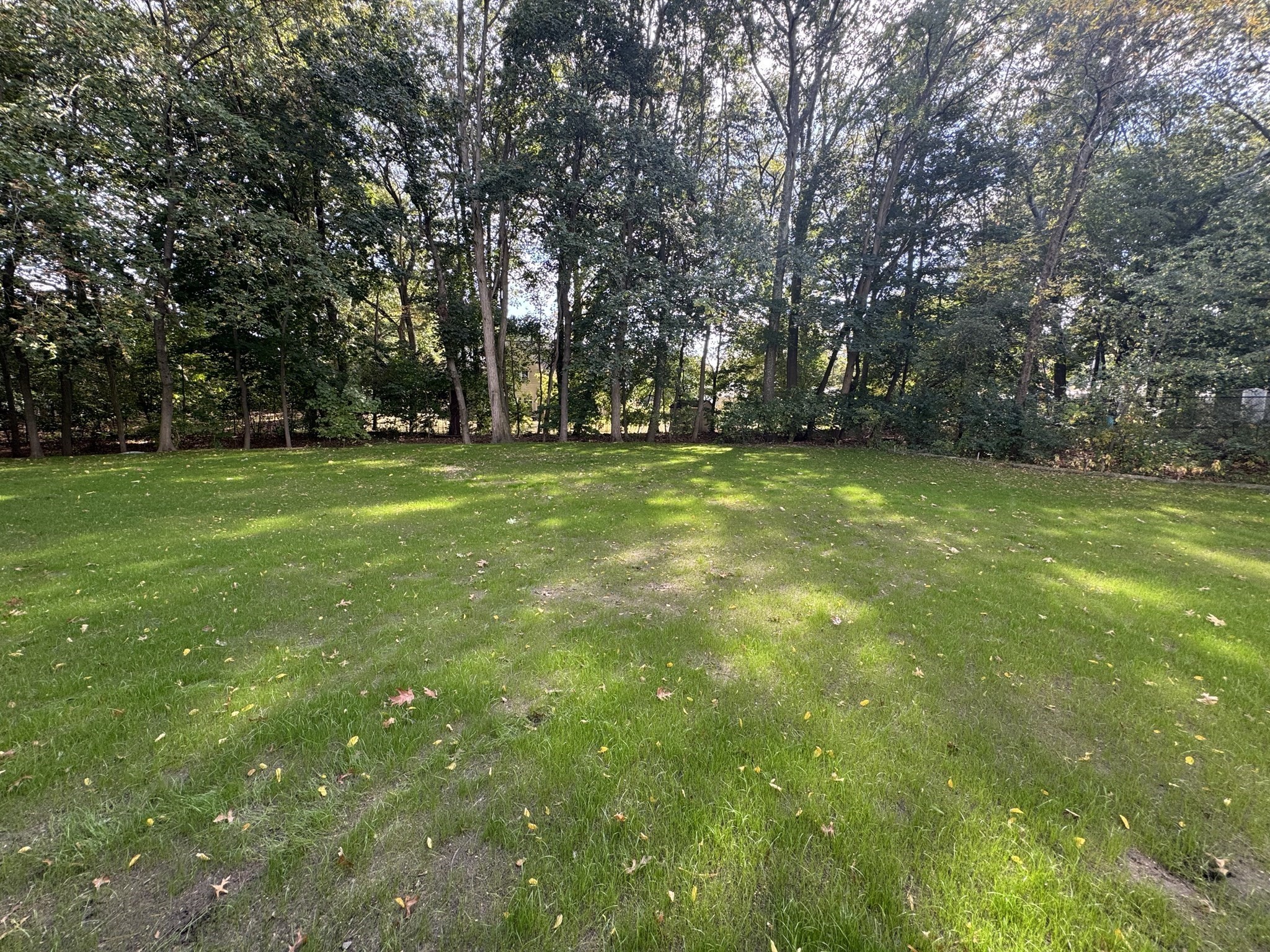 25 Irving Road, Natick, MA 01760 - Image 33