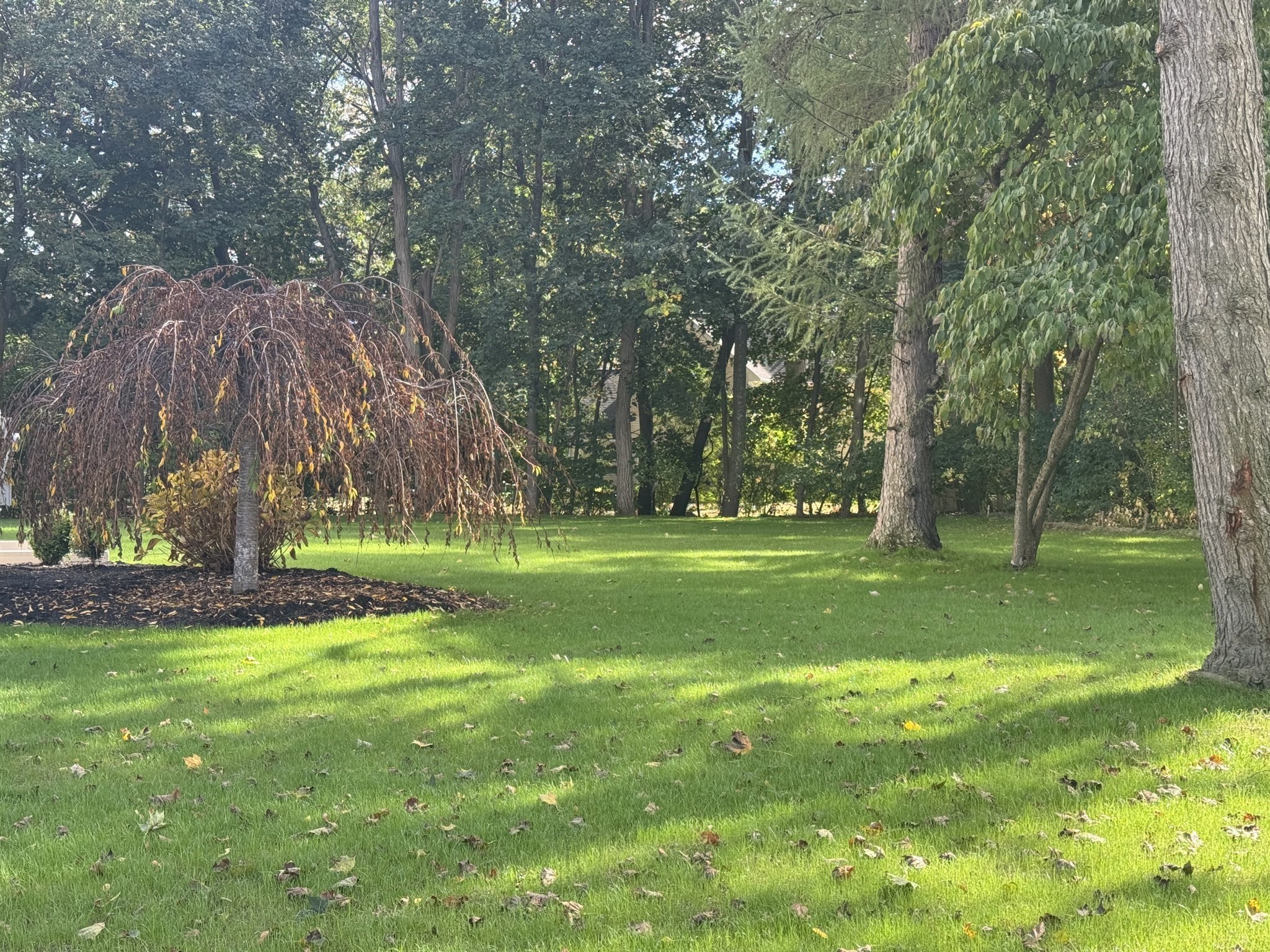 25 Irving Road, Natick, MA 01760 - Image 34