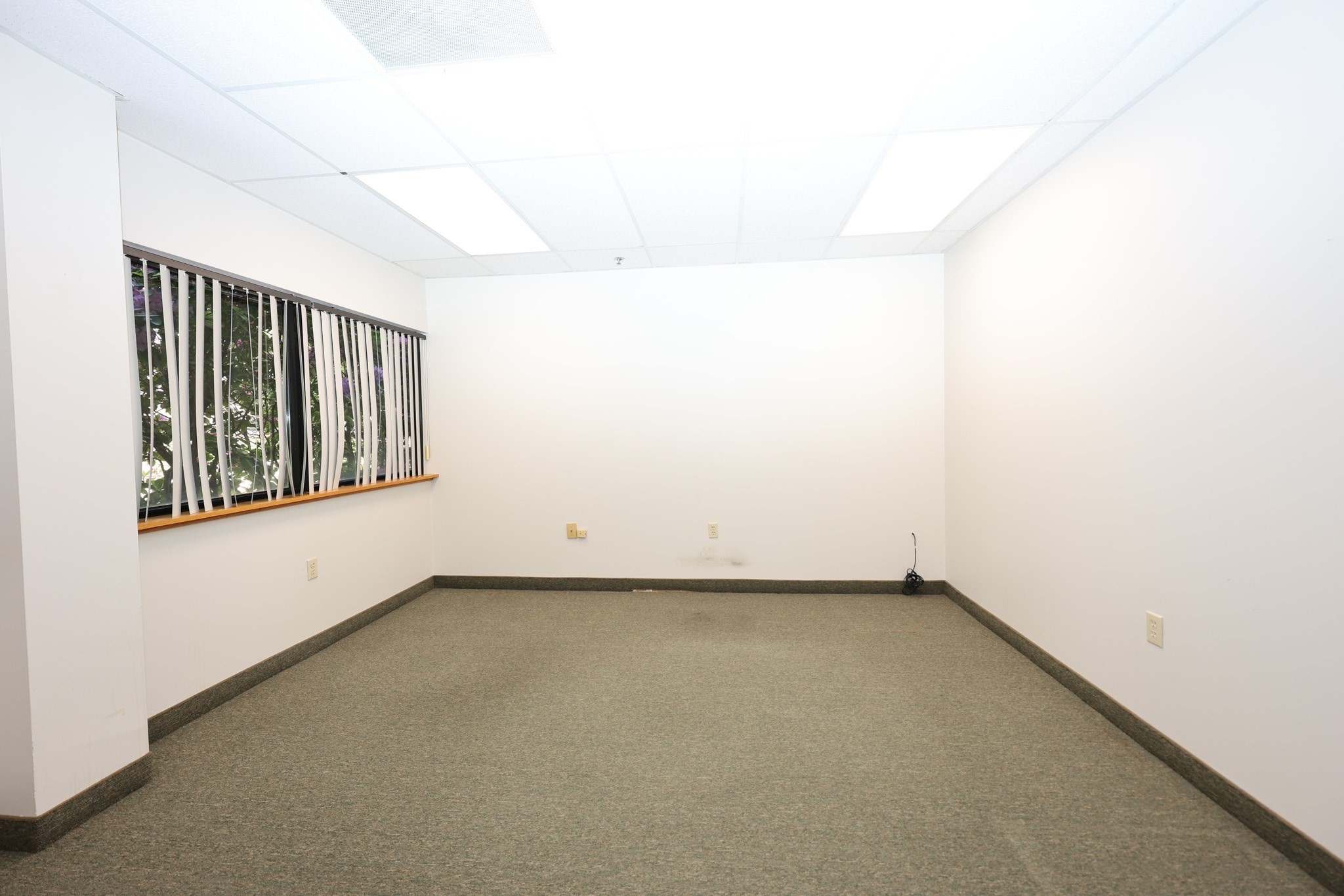 275 Turnpike St, Canton, MA 02021 - Image 40