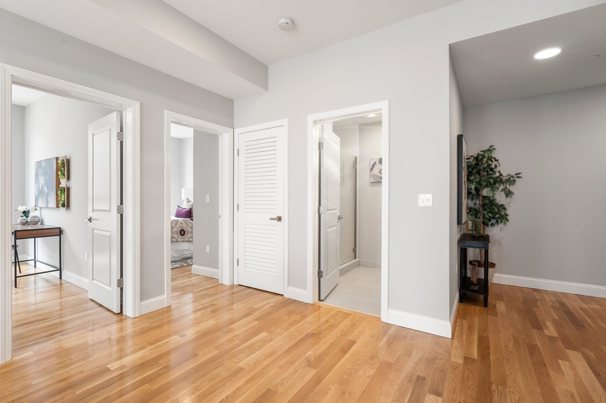 10 Taber Street Unit 501, Roxbury, Boston, MA 02119 - Image 3